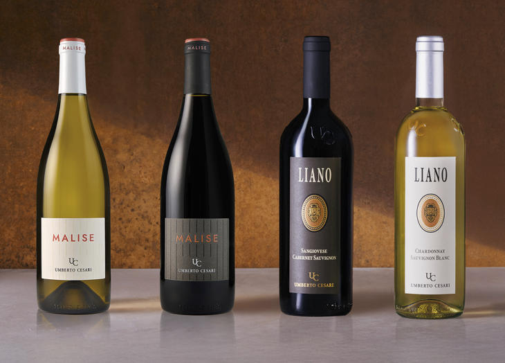 Vinsmagning ved en lokal producent