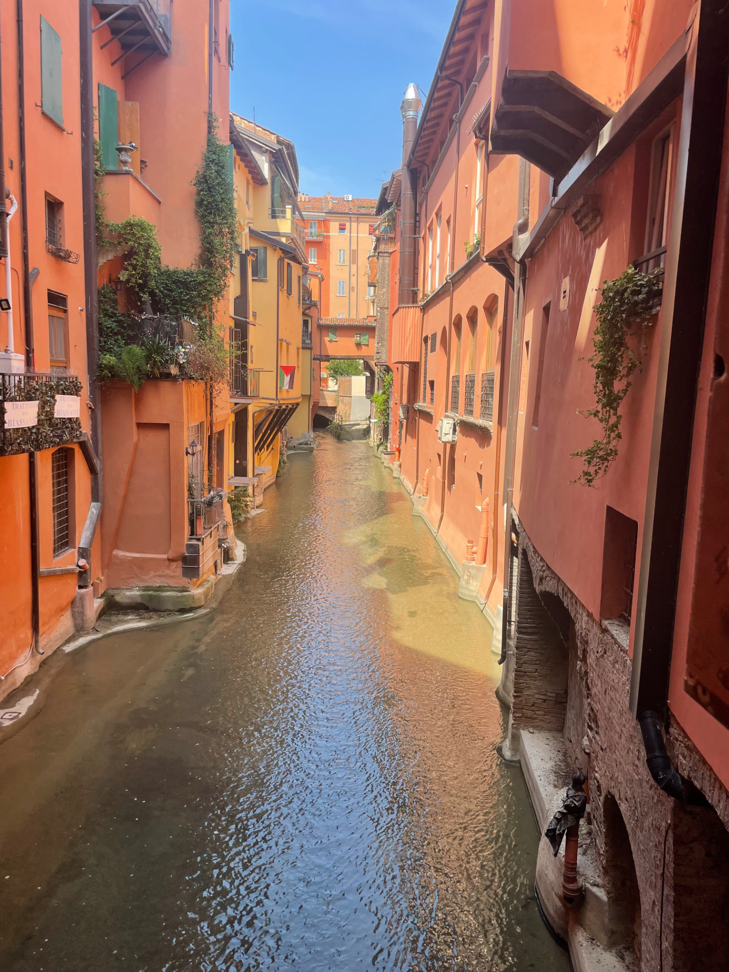 Smukke Bologna